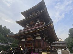 -庐山风景名胜区-东林大佛
