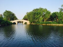 -齐汇维景大酒店游泳馆(山东政协大厦齐汇维景)