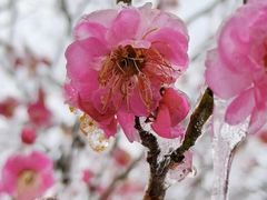 -南京市江宁方山