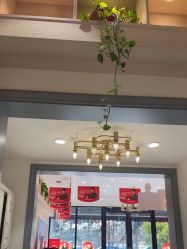 -爱儿美儿童摄影(奥森公园店)