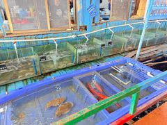 -蓝湾碧波·老字号·疍家非遗海上餐厅
