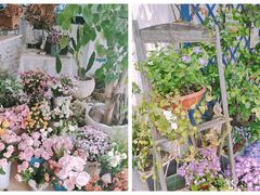 -Jo's Garden
