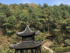 -湾里人家(旺山景区店)