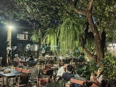 -Fern Forest Cafe