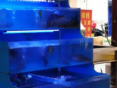 -韩妹鱼庄·泸定老字号(泸定店)