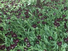 -长春公园(普阳街道)