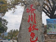 -塔川景区