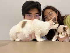 -琪喵猫屋·撸猫猫咖·猫舍
