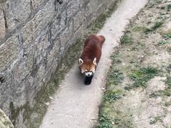 -上海野生动物园