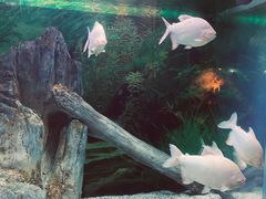 -常州海昌海洋探索馆