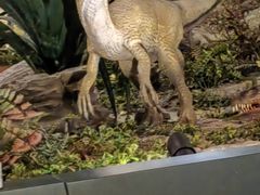 -湖南省地质博物馆