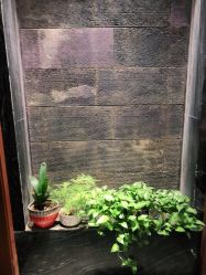 -T.1 hair salon烫染接发