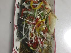 -爱月宝月嫂·育儿嫂(哈尔滨总店)