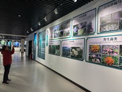 -迪庆藏族自治州博物馆