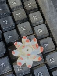 -初八手工DIY陶艺馆(初八陶社)