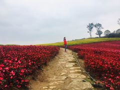 -天河潭旅游度假区