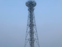 -大湾区中央湿地公园