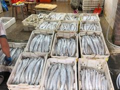 -芦潮港集贸市场