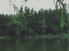 -南通濠河风景名胜区