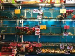 -鹭港渔家海鲜大排档