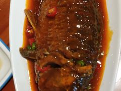 黄河大鲤鱼-老王烫面角(北京路店)