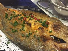 -九府羊·鲜羊火锅·烤串(新华路店)