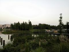 -尚贤河湿地