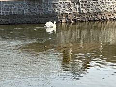 -哈尔滨北方森林动物园