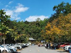 -普洱太阳河森林公园