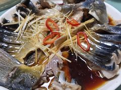 -煲来饱去冷水鱼