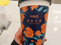 -CoCo都可(燕郊永旺店)