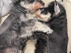-美联众合24小时·皮肤科·外科·全科诊疗中心(华苑分院)