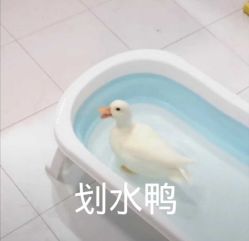 -凡碧诗毛孔收细