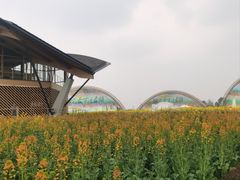 -中国天府农业博览园