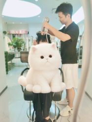 -吉艺心专业美发造型