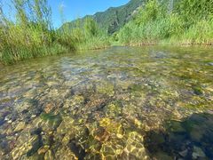-白河湾生态旅游一条川