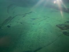 -白鹤梁水下博物馆