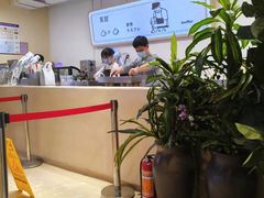 -狐狸和向日葵(北京路店)
