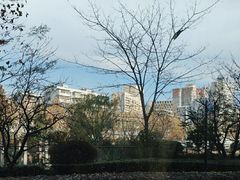 -万达瑞华酒店美食汇自助餐厅(楚河汉街店)