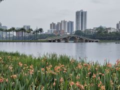 -南宁南湖公园