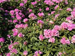 -名花谷生态庄园