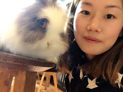 -藦茜花园宠物主题亲子互动体验馆(国顺东路店)
