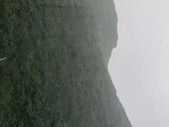 -武陵山森林公园