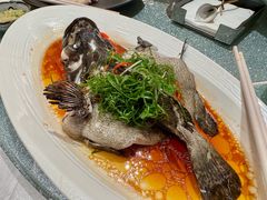 头抽清蒸老虎斑-南海渔村(珠江新城店)