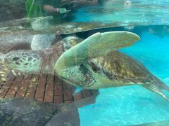-海合安成都极地海洋公园