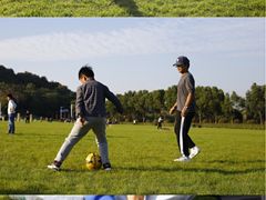-羊山湖公园