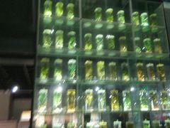 -广东中医药博物馆