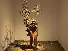 -苏州本色美术馆