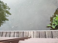 -沐仙湖湿地公园