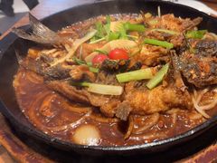 -老板恋上鱼(恒隆广场店)